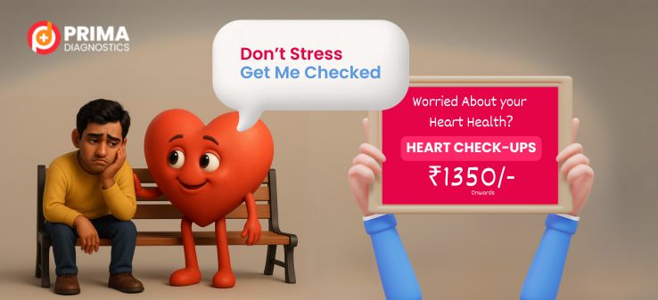 Prima Website Banner